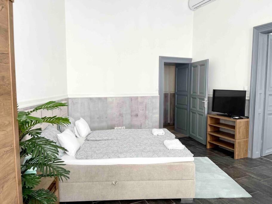 D3 Basilica Luxury Spacious Free Parking For 1 Car بودابست المظهر الخارجي الصورة