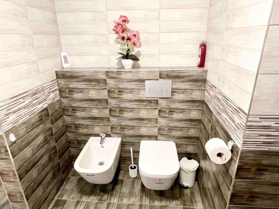 D3 Basilica Luxury Spacious Free Parking For 1 Car بودابست المظهر الخارجي الصورة
